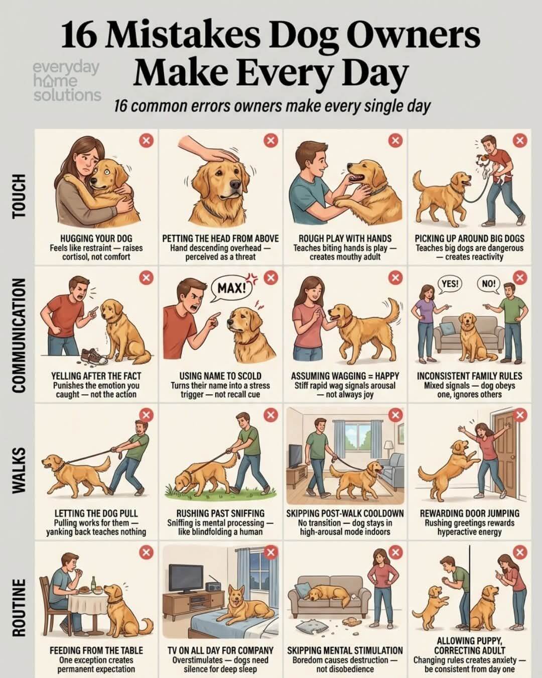 16 Errores que los Dueños de Perros Cometen a Diario